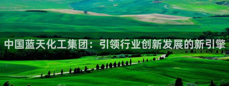 球盟会能提现吗