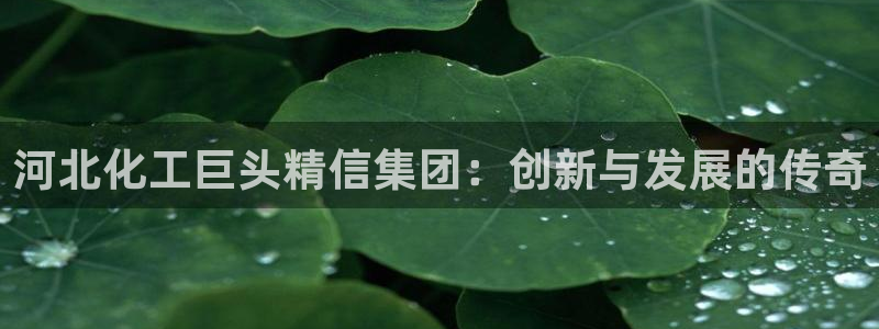 球盟会封号