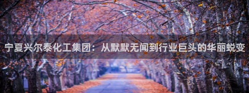 球盟会可靠不