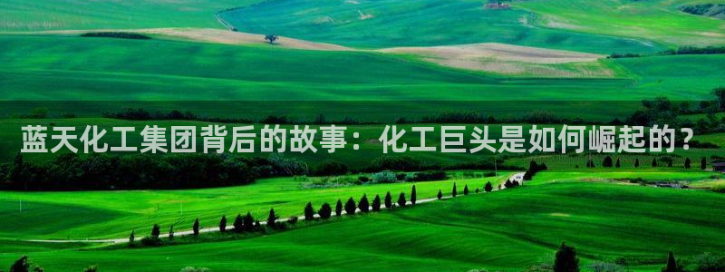 球盟会中国官方网站