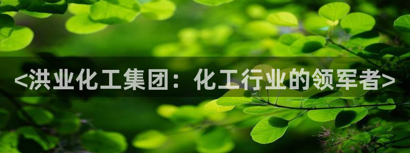 球盟会黑