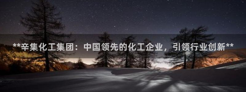 球盟会官方平台入口：**辛集化工集团：中国领先的化工企业，引