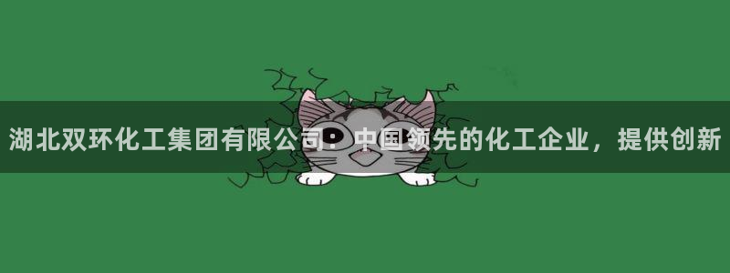球盟会app最新地址在哪：湖北双环化工集团有限公司：中国领先