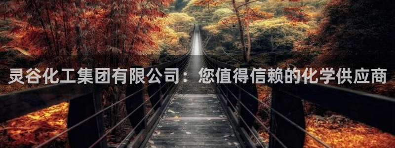 球盟会黑款吗：灵谷化工集团有限公司：您值得信赖的化学供应商