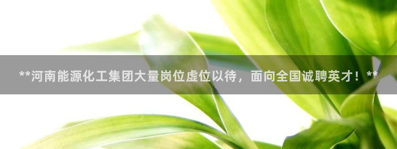 球盟会qmh网址