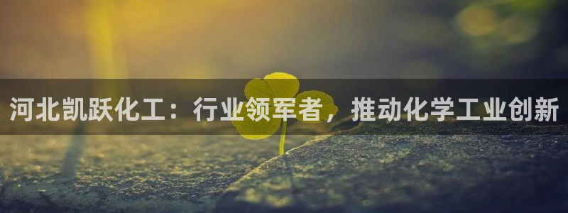 球盟会黑钱