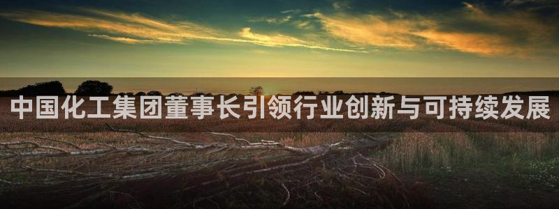 球盟会官方网页登录：中国化工集团董事长引领行业创新与可持续发