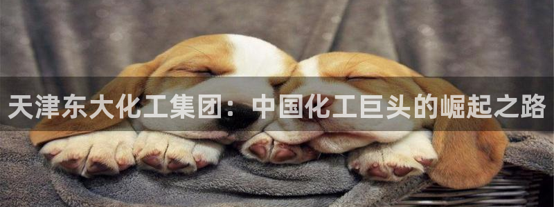 球盟会qmh官网