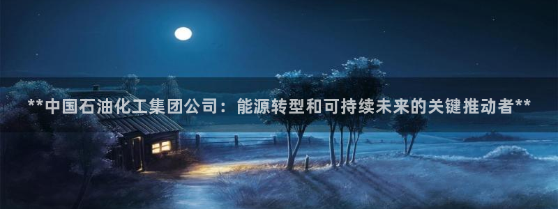 球盟会和中欧会的区别：**中国石油化工集团公司：能源转型和可