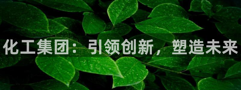 球盟会有没有黑单的球员：化工集团：引领创新，塑造未来