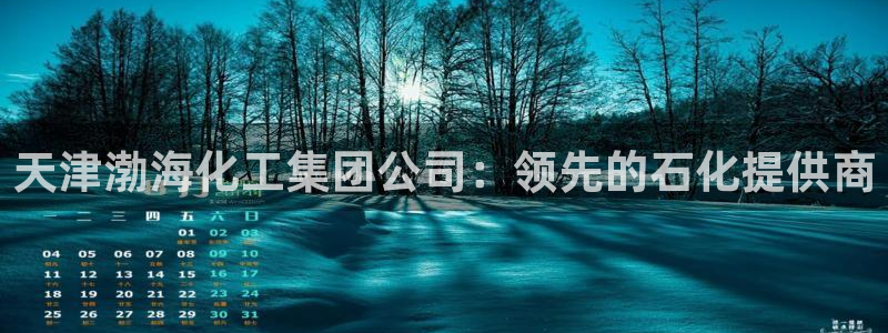 球盟会网址qm9 - 球盟会qmh网页版登录：天津渤海化工集