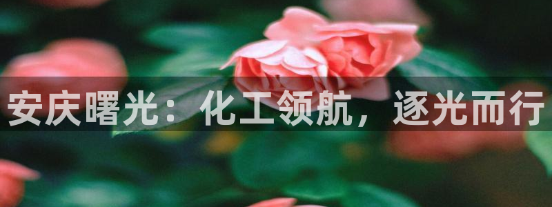 球盟会官方最新入口：安庆曙光：化工领航，逐光而行