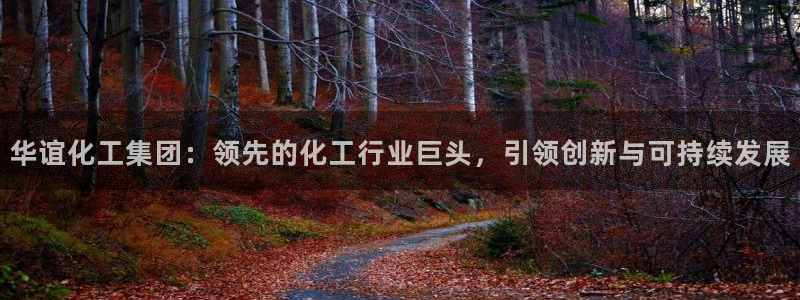 球盟会中国网页登录：华谊化工集团：领先的化工行业巨头，引领创