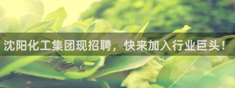 球盟会出款黑了