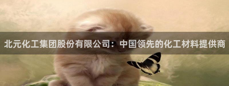 球盟会黑：北元化工集团股份有限公司：中国领先的化工材料提供商