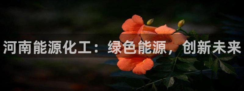球盟会优惠领取网站是真的吗：河南能源化工：绿色能源，创新未来