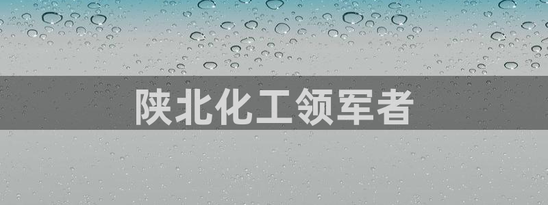 球盟会官网app下载：陕北化工领军者