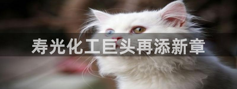 球盟会qm8597：寿光化工巨头再添新章