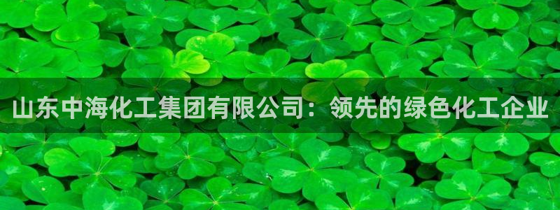 球盟会福利码2023最简单三个步骤：山东中海化工集团有限公司