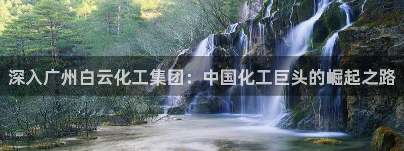 球盟会官方入口