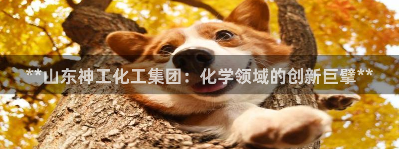 球盟会官方最新入口