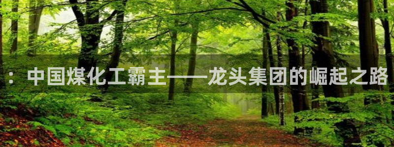 球盟会qm8597