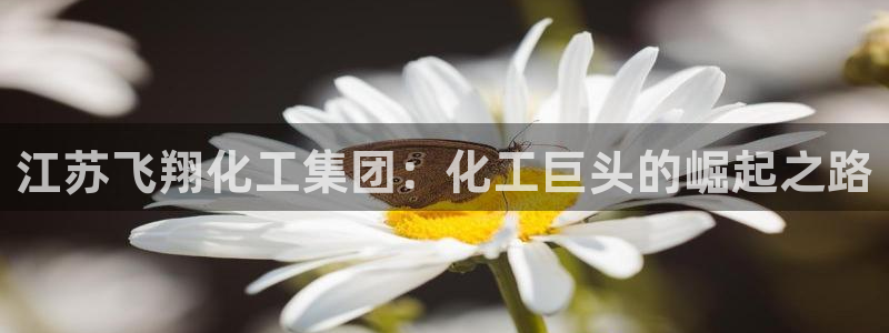 球盟会app网址多少
