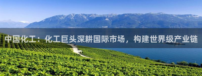 球盟会