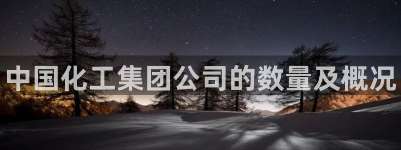 球盟会qmh网址