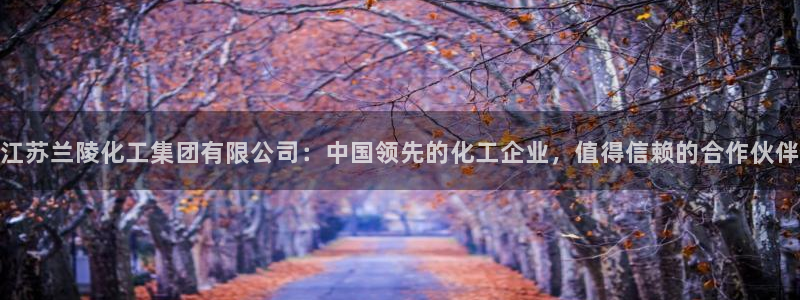 球盟会网址：江苏兰陵化工集团有限公司：中国领先的化工企业，值