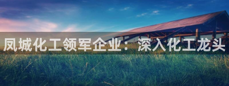 球盟会能提现吗