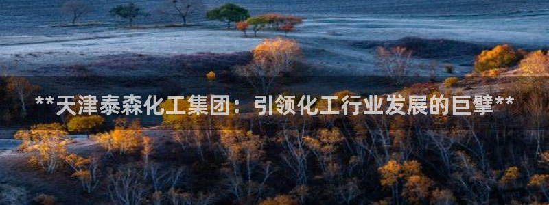 球盟会游戏几点玩合适