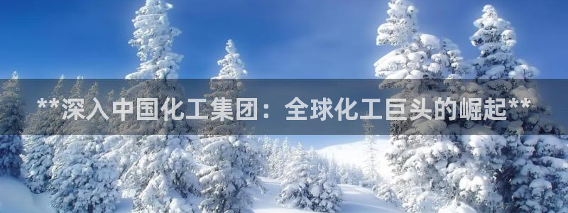 球盟会官方网站是什么