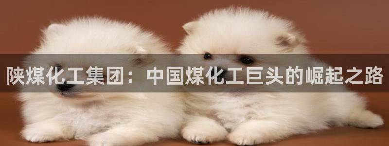 球盟会体验金球奖吗
