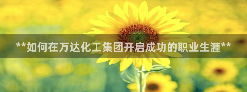 球盟会中国网页登录：**如何在万达化工集团开启成功的职业生涯