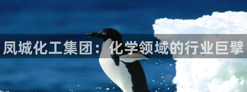 球盟会qmh