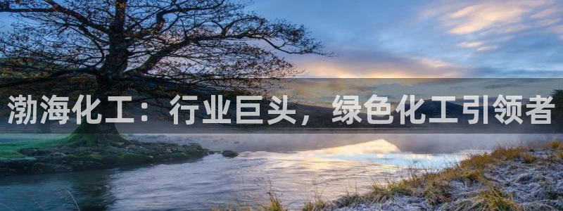 球盟会优惠券