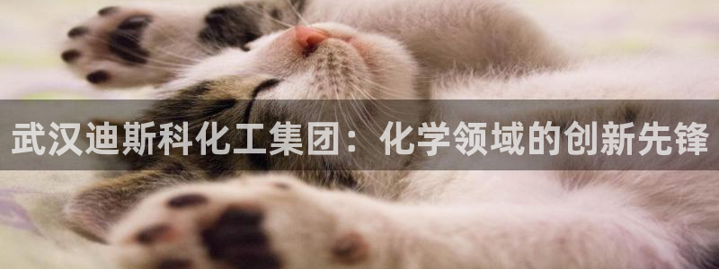 球盟会黑平台