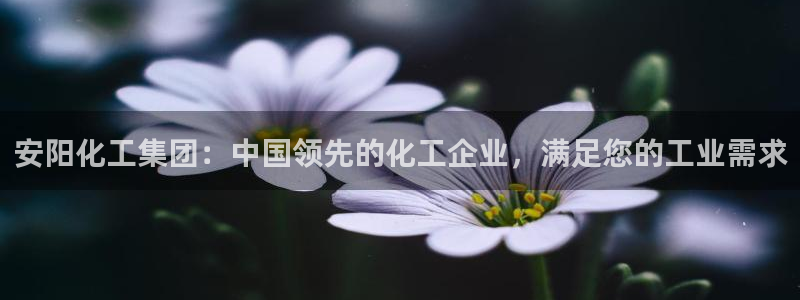 球盟会电子好下吗：安阳化工集团：中国领先的化工企业，满足您的