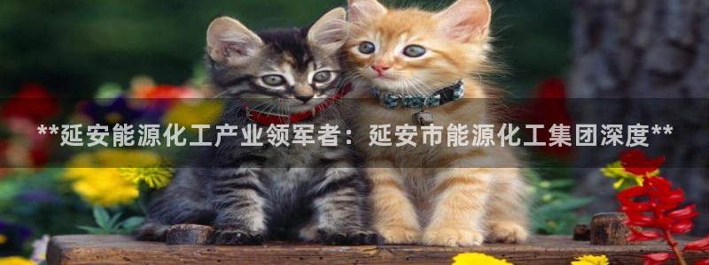 球盟会官方app首页入口