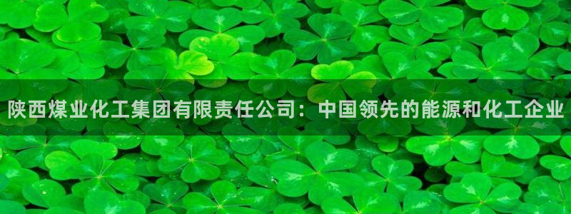球盟会黑平台：陕西煤业化工集团有限责任公司：中国领先的能源和