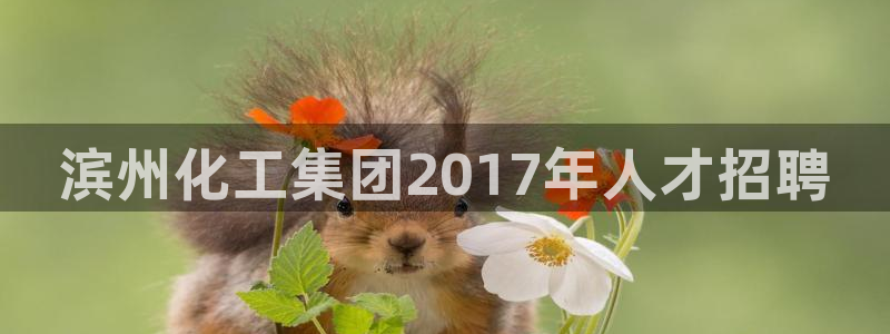 球盟会app最新地址在哪找