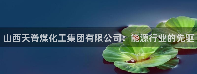 球盟会能提现吗：山西天脊煤化工集团有限公司：能源行业的先驱
