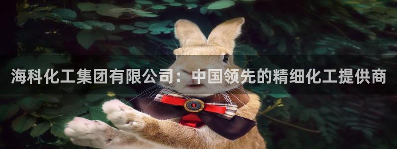 球盟会app：海科化工集团有限公司：中国领先的精细化工提供商