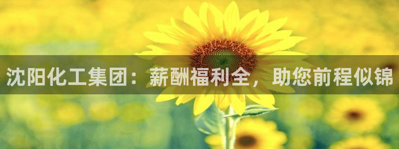 球盟会qmh：沈阳化工集团：薪酬福利全，助您前程似锦