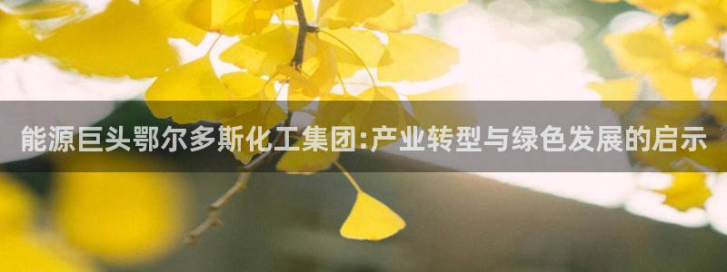 球盟会能退钱吗