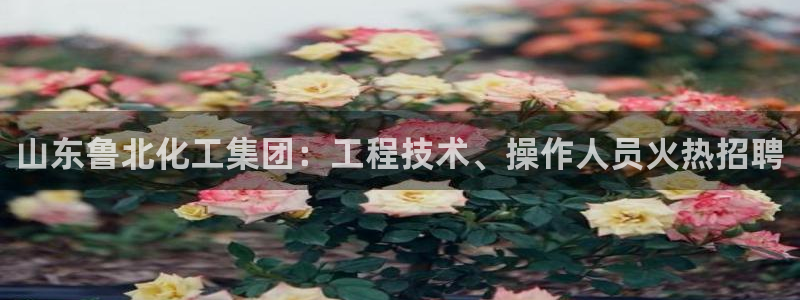 球盟会可以提现么