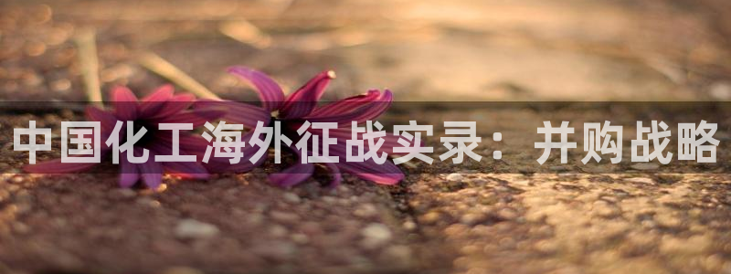球盟会里面有打牌的嘛是真的吗