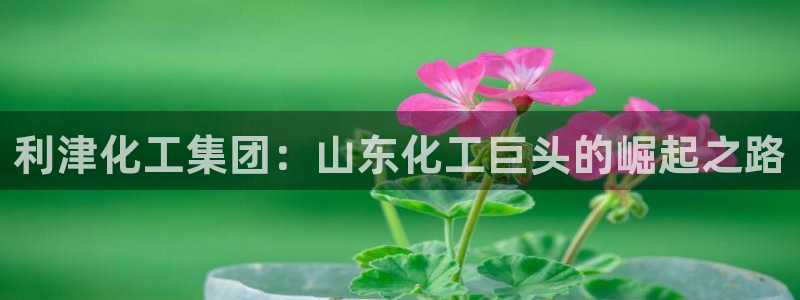 球盟会体验金