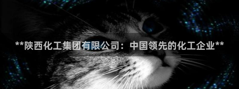 球盟会有没有黑单的球员：**陕西化工集团有限公司：中国领先的